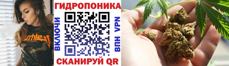 Наркотические вещества Моршанск Марихуана Меф Лсд 25 A PVP ГАШ COCAIN Псилоцибиновые грибы Героин