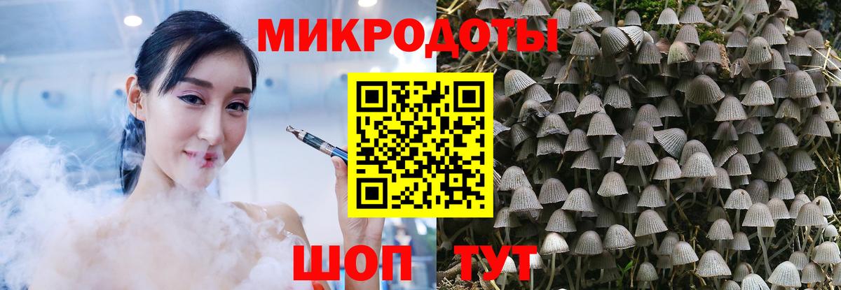 Галлюциногенные грибы Psilocybine cubensis  Вход с VPN  Моршанск 